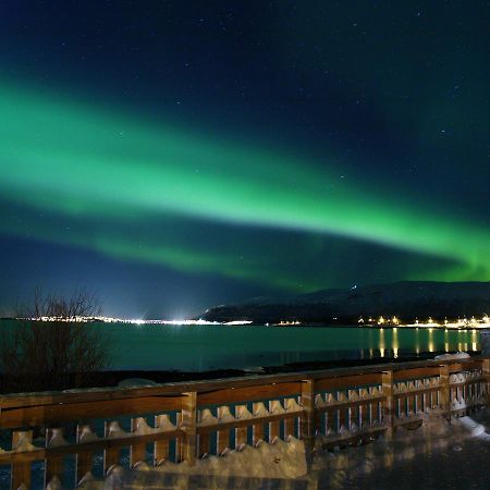 Vikran Vacation: Sea Fishing And Northern Lights Esterno foto