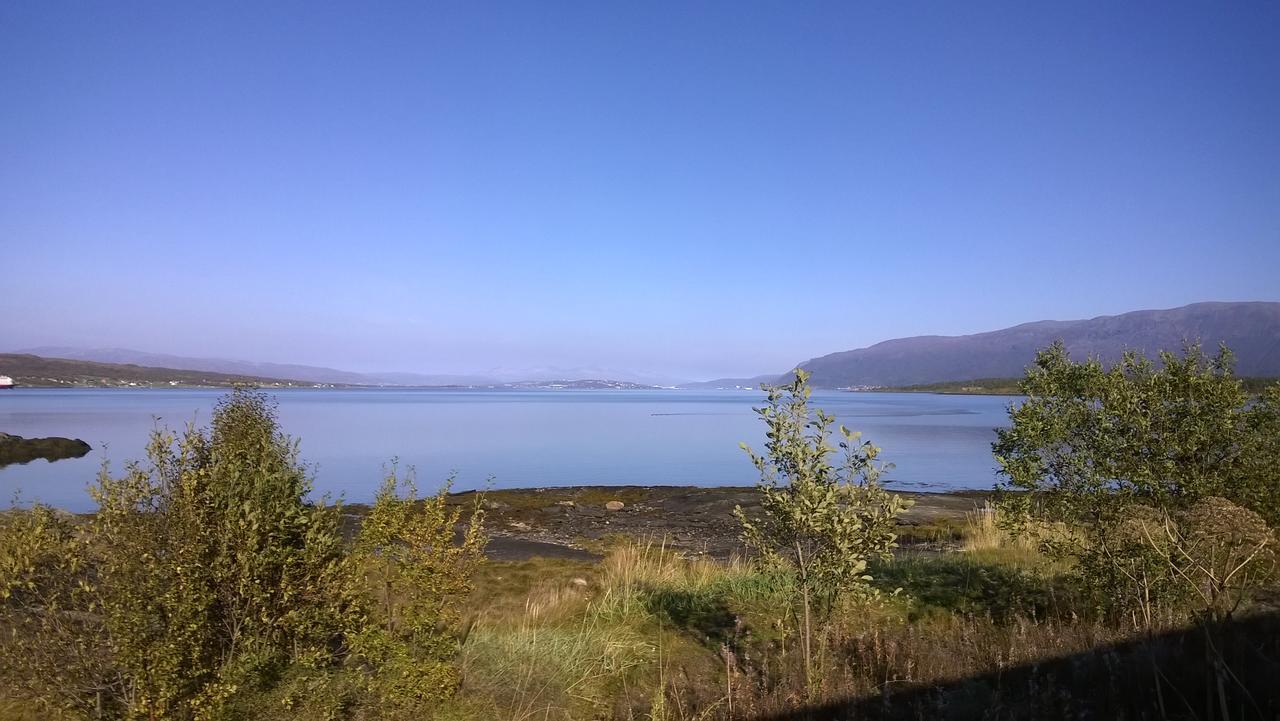 Vikran Vacation: Sea Fishing And Northern Lights Esterno foto