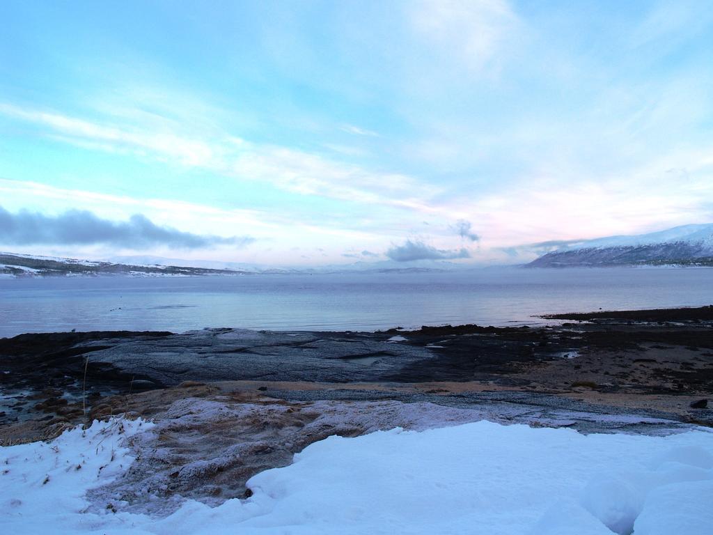 Vikran Vacation: Sea Fishing And Northern Lights Esterno foto