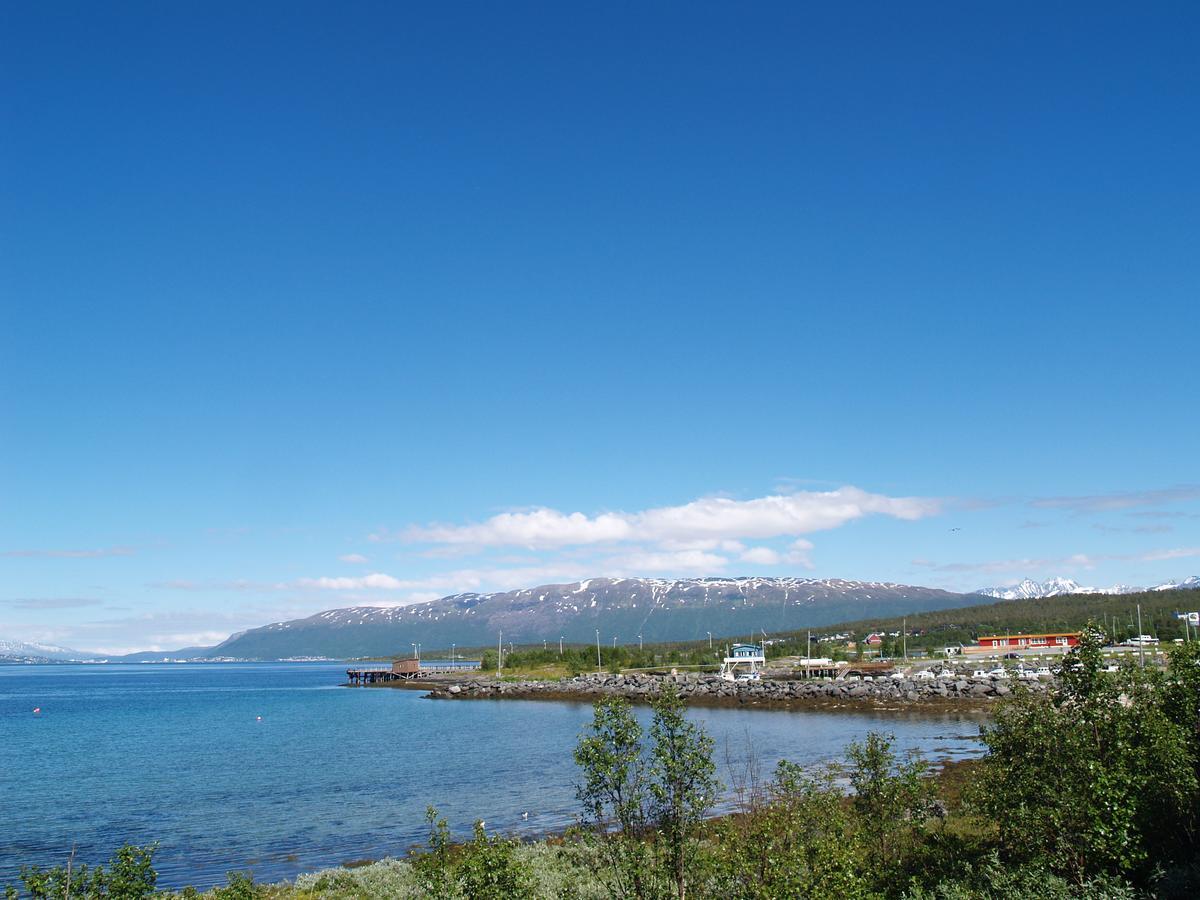 Vikran Vacation: Sea Fishing And Northern Lights Esterno foto