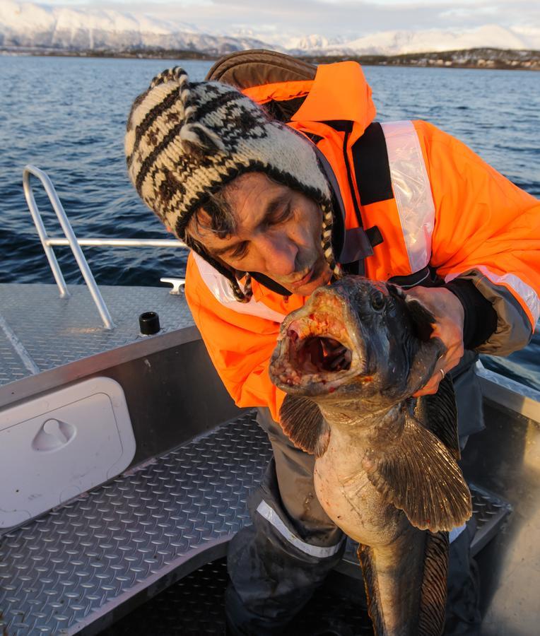 Vikran Vacation: Sea Fishing And Northern Lights Esterno foto