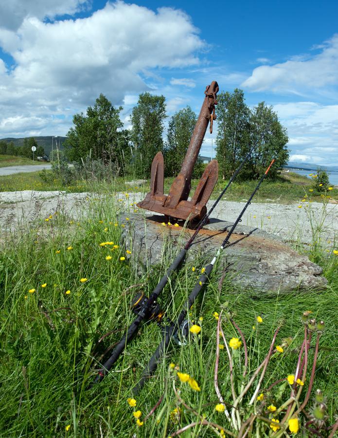 Vikran Vacation: Sea Fishing And Northern Lights Esterno foto