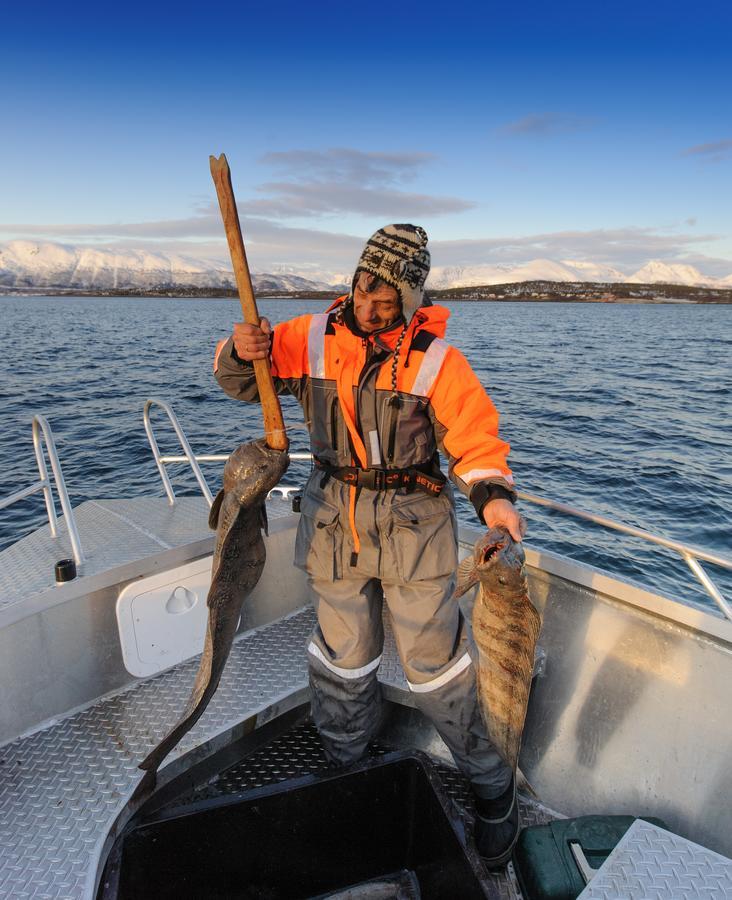 Vikran Vacation: Sea Fishing And Northern Lights Esterno foto