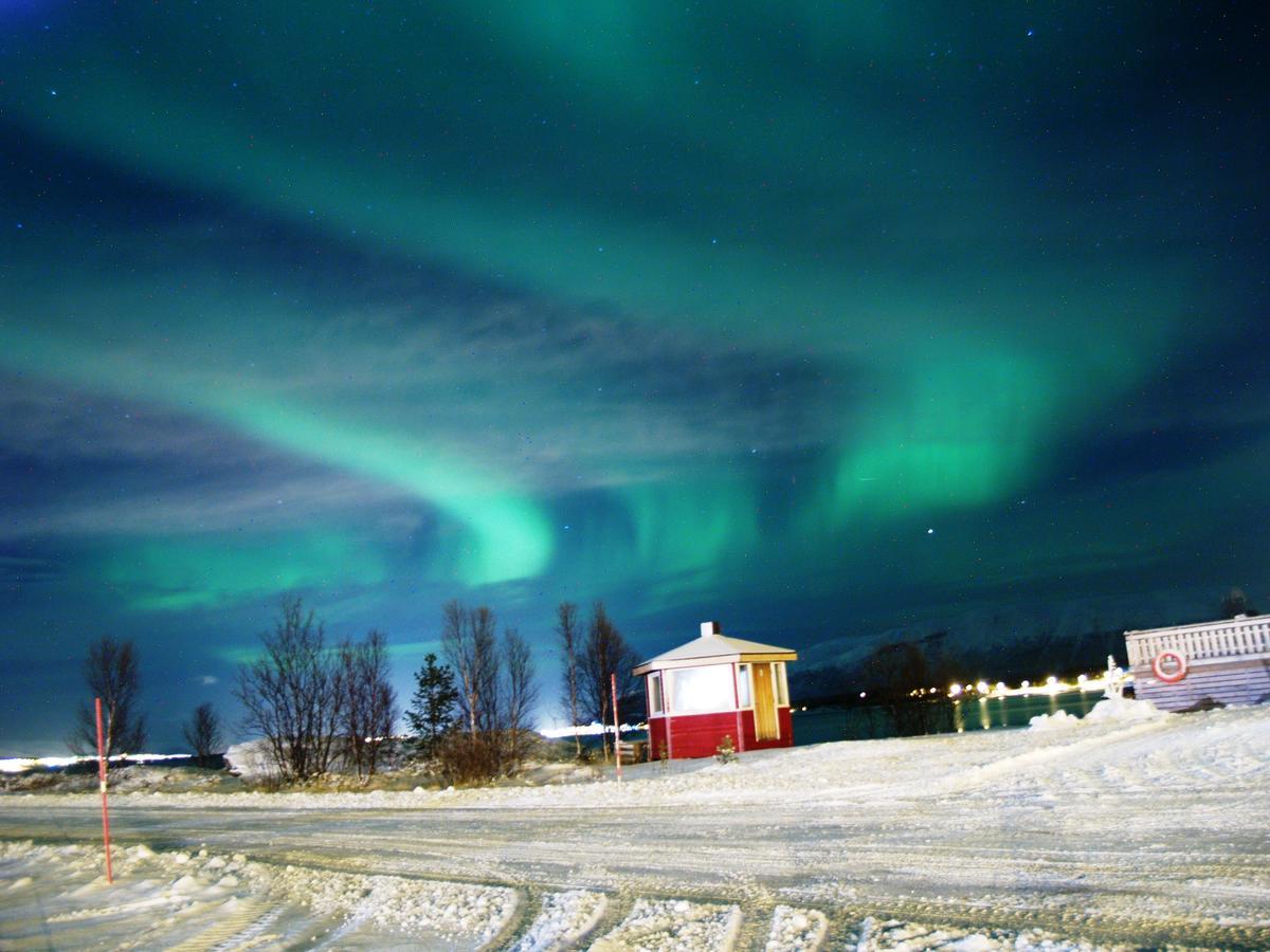 Vikran Vacation: Sea Fishing And Northern Lights Esterno foto