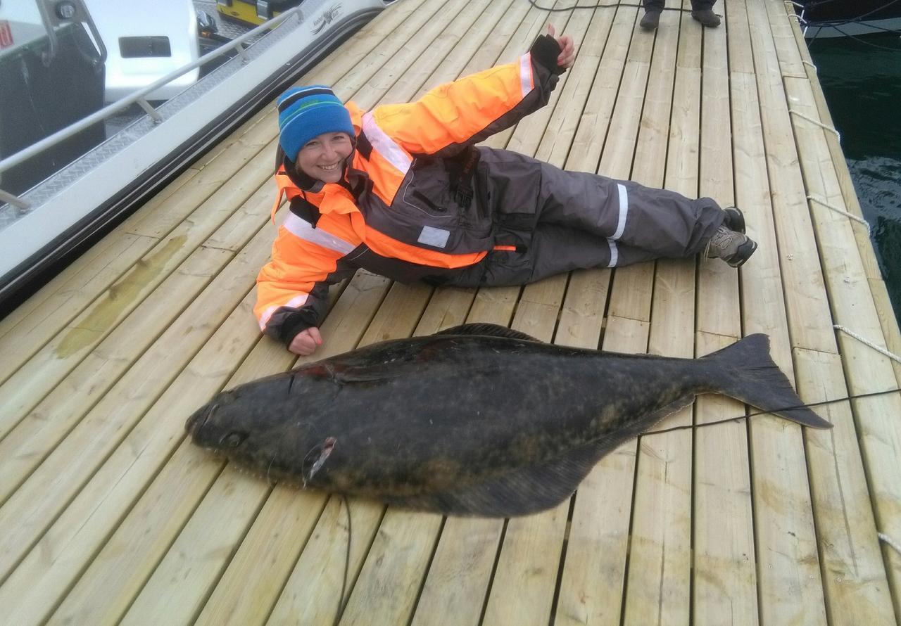 Vikran Vacation: Sea Fishing And Northern Lights Esterno foto