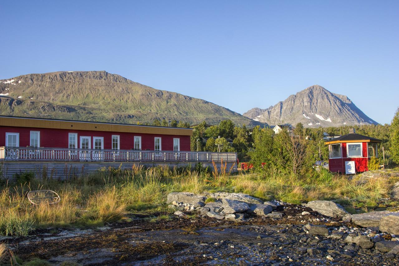 Vikran Vacation: Sea Fishing And Northern Lights Esterno foto