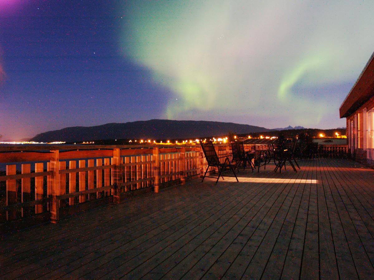 Vikran Vacation: Sea Fishing And Northern Lights Esterno foto