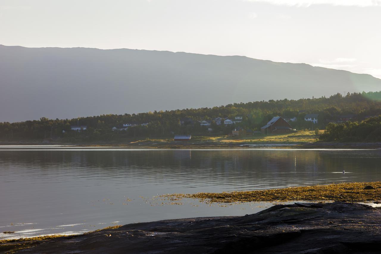 Vikran Vacation: Sea Fishing And Northern Lights Esterno foto