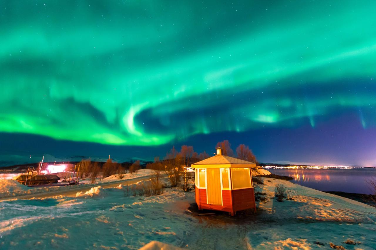 Vikran Vacation: Sea Fishing And Northern Lights Esterno foto